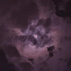 美女自己扒开内👙结男生看个够
