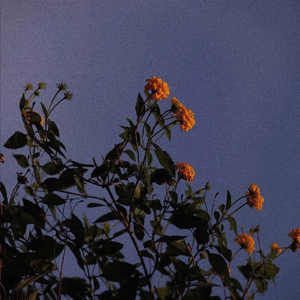 美女自己扒开内👙结男生看个够
